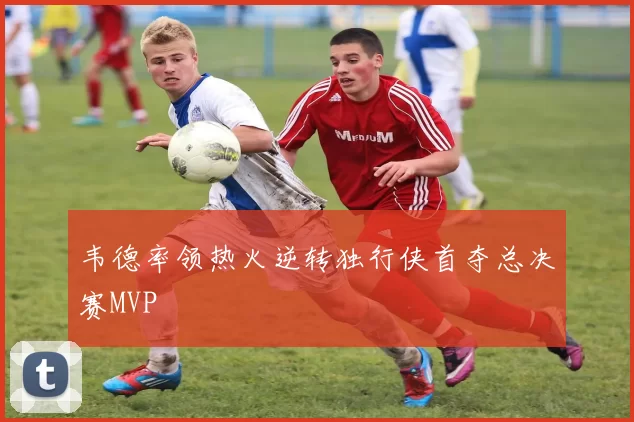 韦德率领热火逆转独行侠首夺总决赛MVP