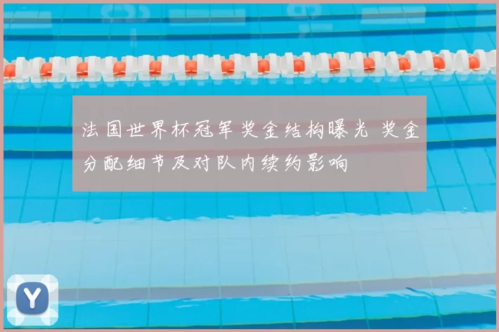 法国世界杯冠军奖金结构曝光 奖金分配细节及对队内续约影响