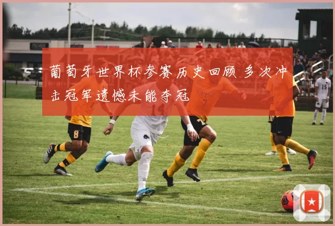 葡萄牙世界杯参赛历史回顾 多次冲击冠军遗憾未能夺冠