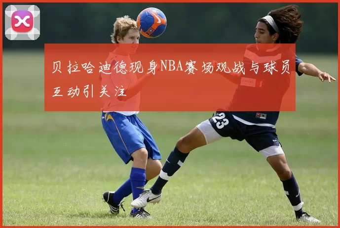 贝拉哈迪德现身NBA赛场观战与球员互动引关注