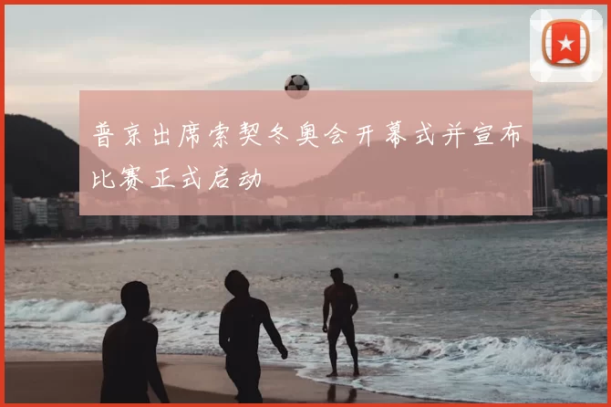 普京出席索契冬奥会开幕式并宣布比赛正式启动