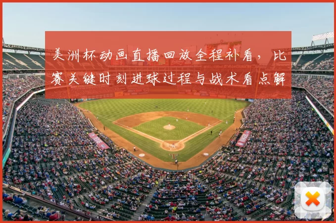美洲杯动画直播回放全程补看，比赛关键时刻进球过程与战术看点解析