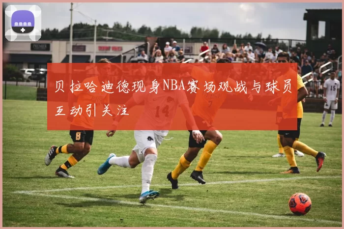 贝拉哈迪德现身NBA赛场观战与球员互动引关注