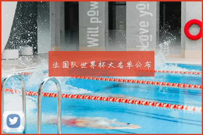 法国队世界杯大名单公布