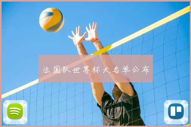 法国队世界杯大名单公布