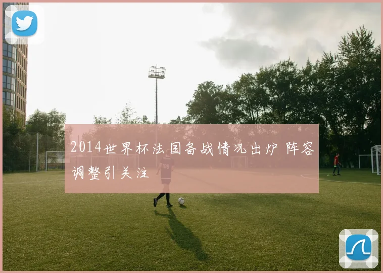 2014世界杯法国备战情况出炉 阵容调整引关注